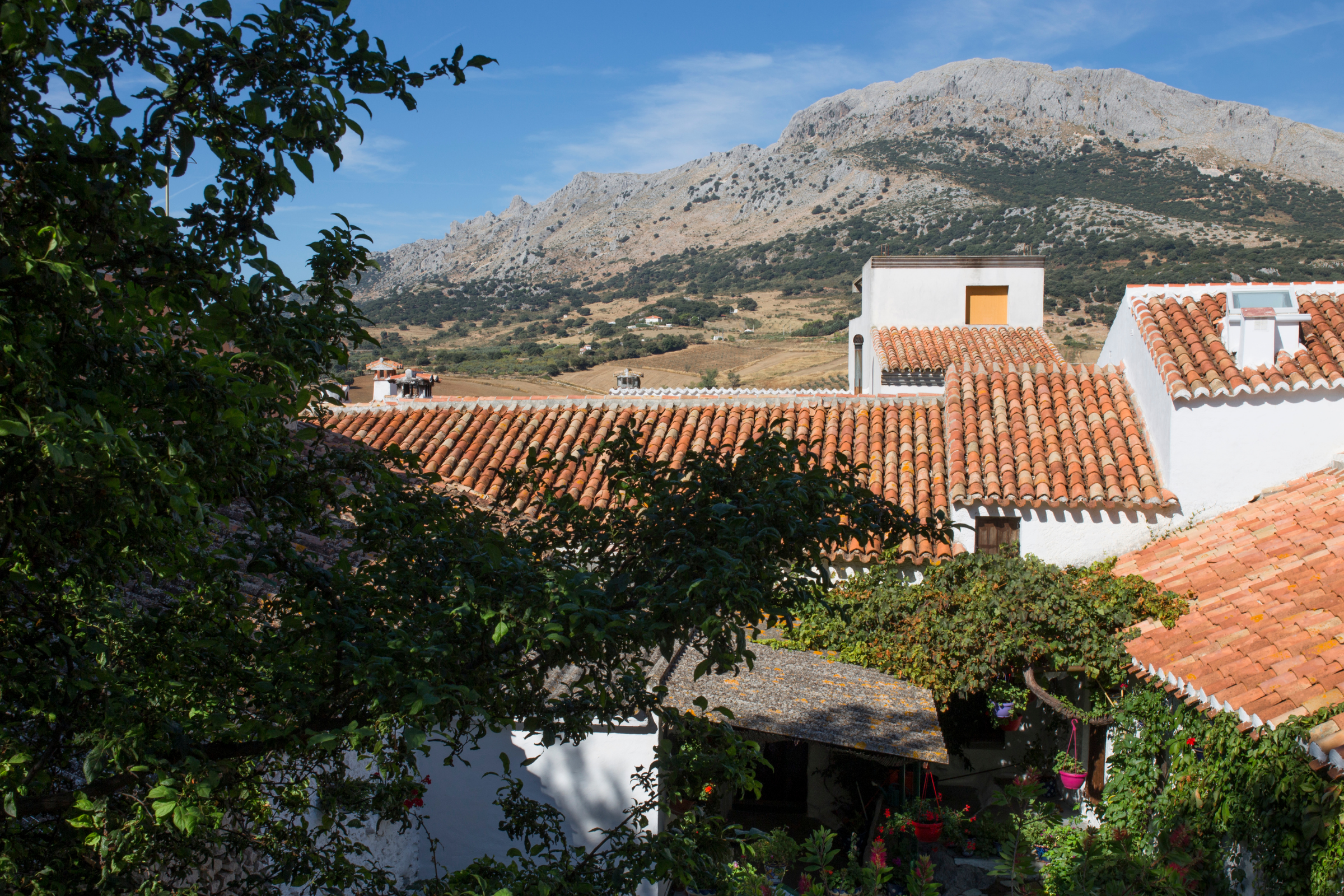 alfarnatejo (4).webp